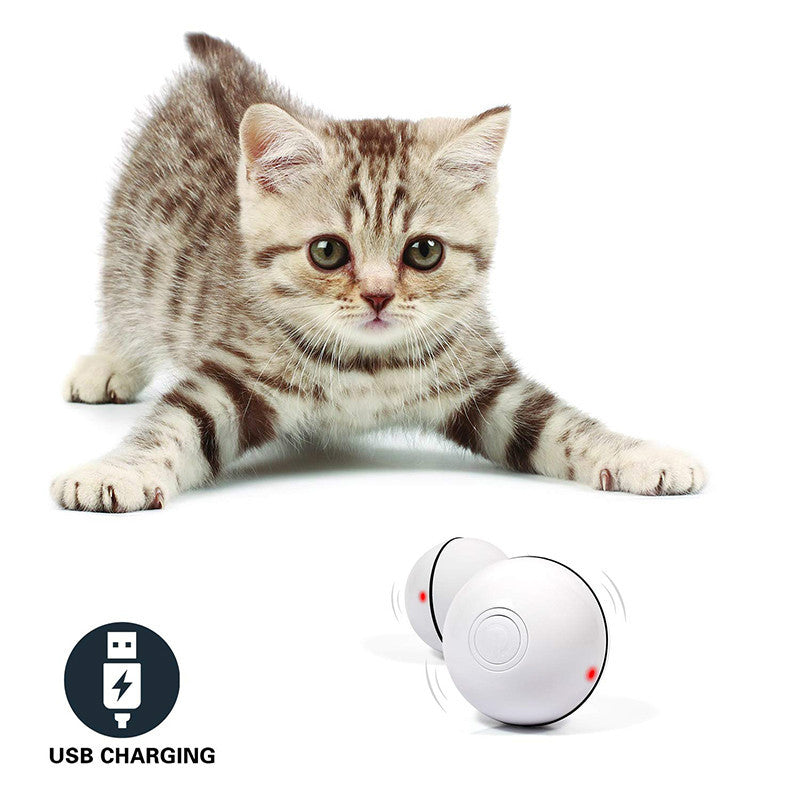 LED Laser Rolling Cat Toy – Interactive & Fun for Endless Play! - Pet house