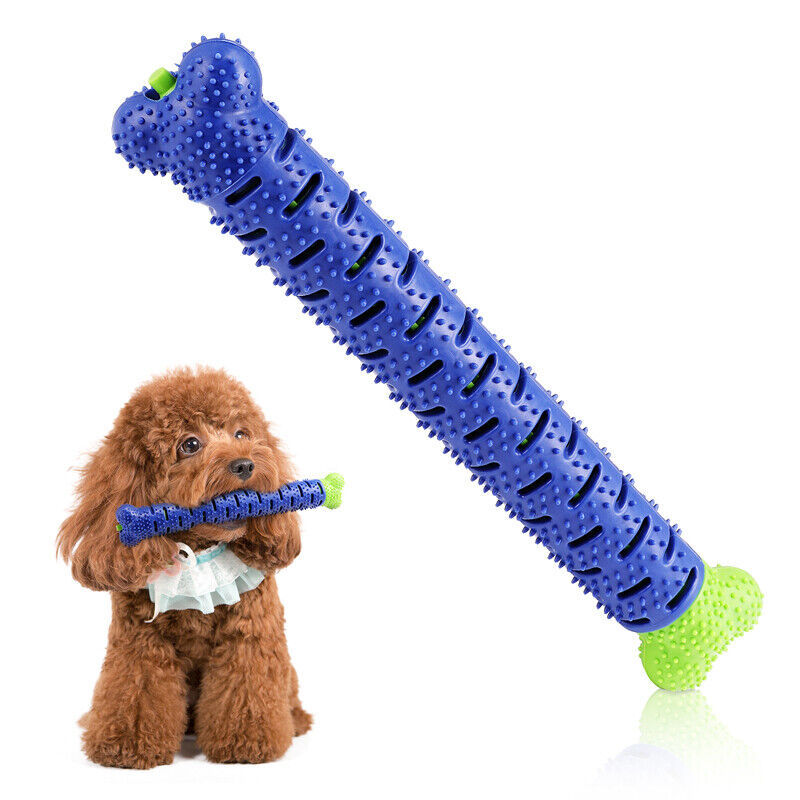 Ultimate Dog Chew & Toothbrush Toy – Durable TPR Dental Care - Pet house