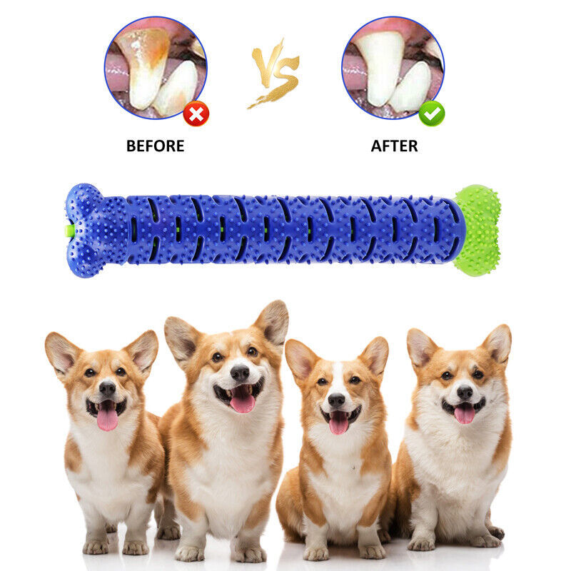 Ultimate Dog Chew & Toothbrush Toy – Durable TPR Dental Care - Pet house