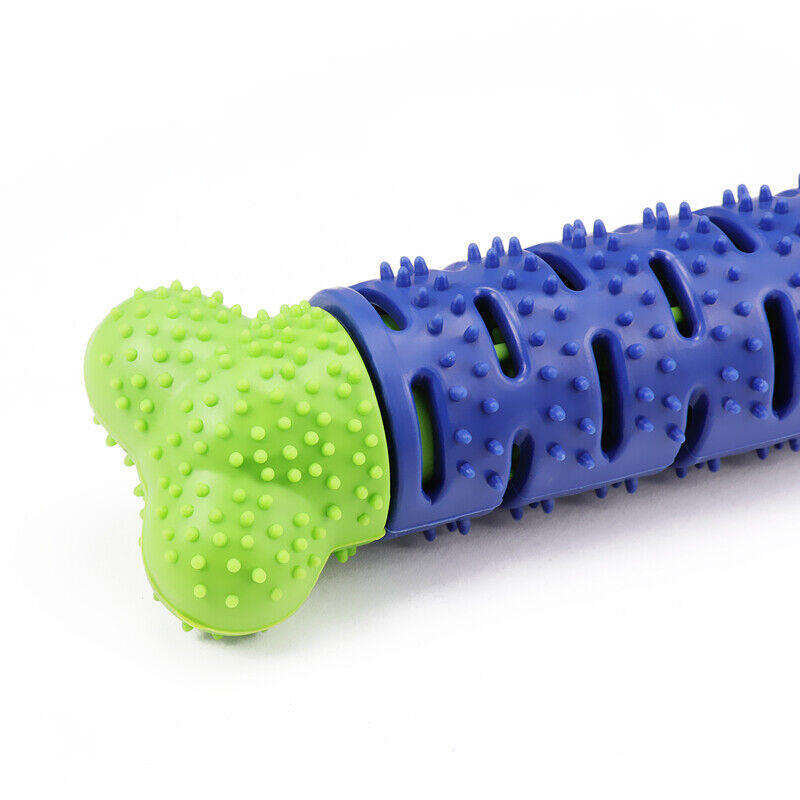 Ultimate Dog Chew & Toothbrush Toy – Durable TPR Dental Care - Pet house