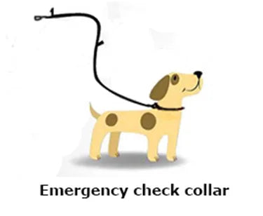 7-in-1 Multi-Function Dog Leash – Hands-Free, Adjustable & Reflective! - Pet house