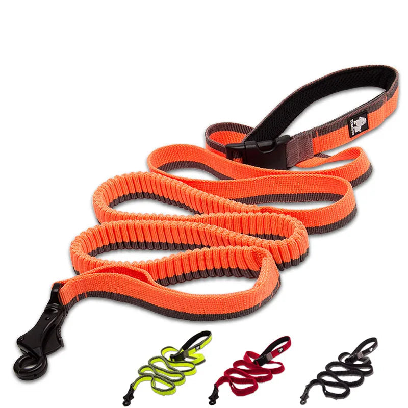 7-in-1 Multi-Function Dog Leash – Hands-Free, Adjustable & Reflective! - Pet house
