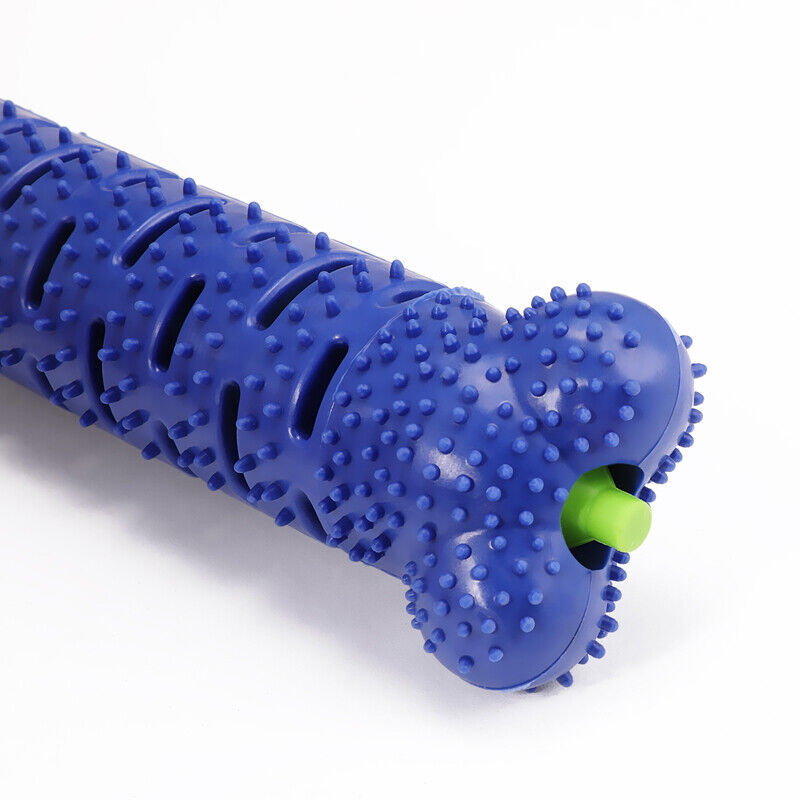 Ultimate Dog Chew & Toothbrush Toy – Durable TPR Dental Care - Pet house