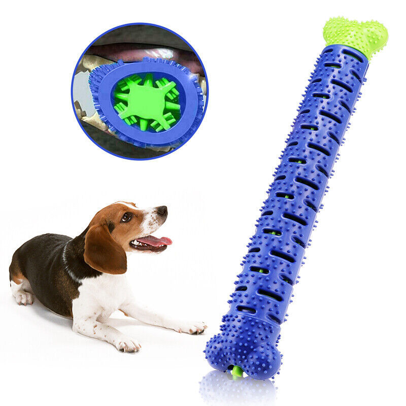 Ultimate Dog Chew & Toothbrush Toy – Durable TPR Dental Care - Pet house