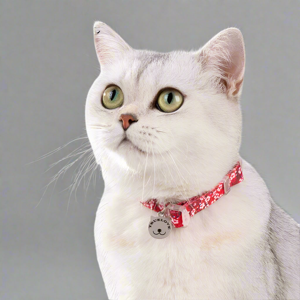 Floral Pet Collar with Bell – Stylish, Adjustable & Personalized! - Pet house