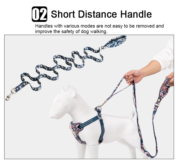 Floral Pet Leash – Soft Padded Handle & Extra Control! - Pet house