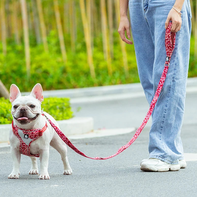 Floral Pet Leash – Soft Padded Handle & Extra Control! - Pet house