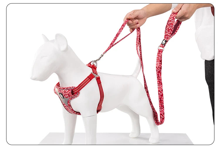 Floral Pet Leash – Soft Padded Handle & Extra Control! - Pet house