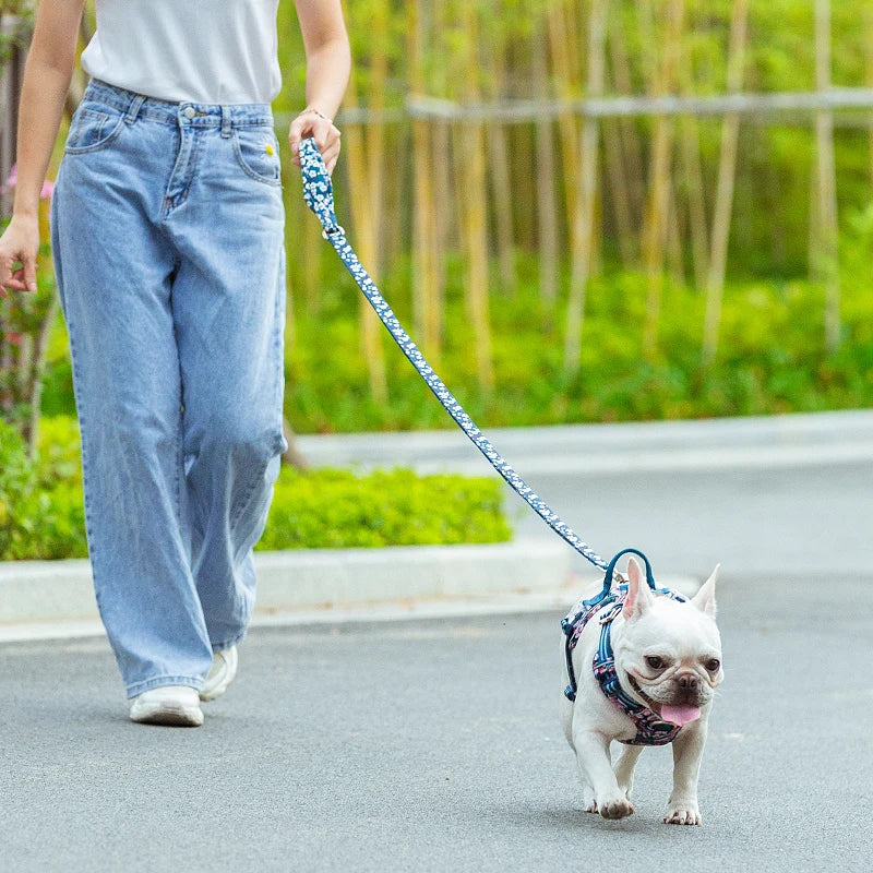 Floral Pet Leash – Soft Padded Handle & Extra Control! - Pet house