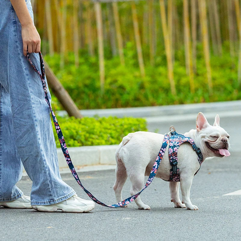 Floral Pet Leash – Soft Padded Handle & Extra Control! - Pet house