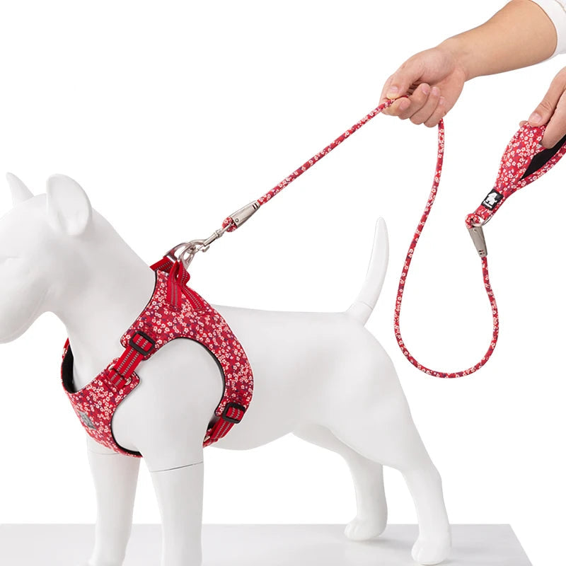 Floral Rope Pet Leash – Stylish, Comfortable & Durable! - Pet house