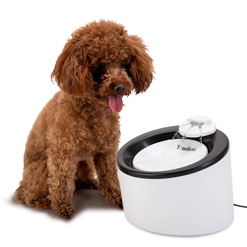 Automatic Pet Water Fountain – Ultra-Quiet, USB-Powered & Fresh Flowing Water! - Pet house
