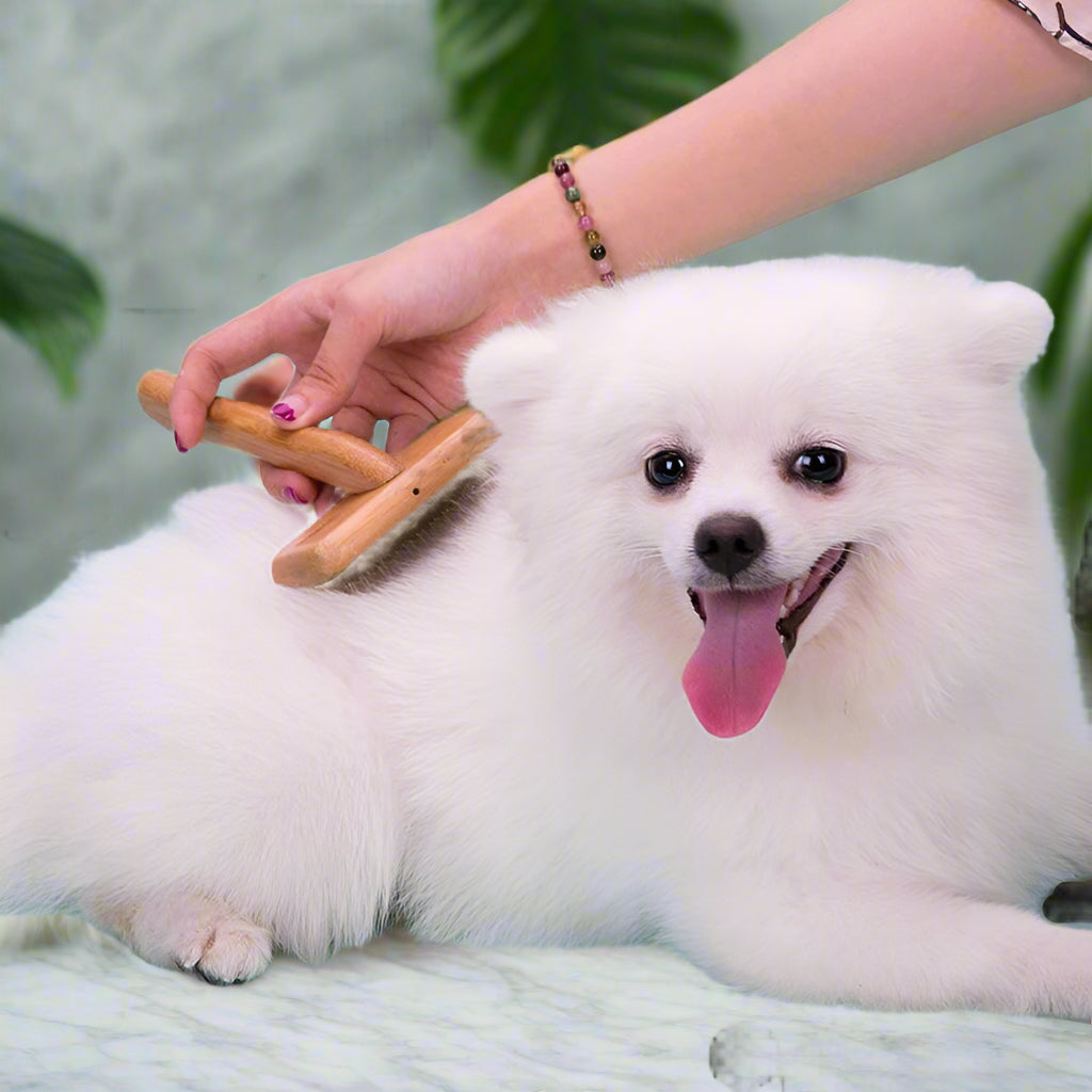 Stainless Steel Square Head Pet Comb – Gentle & Effective Grooming! - Pet house