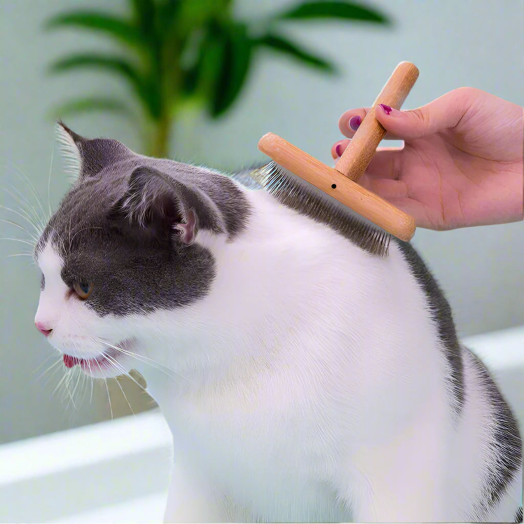 Stainless Steel Square Head Pet Comb – Gentle & Effective Grooming! - Pet house