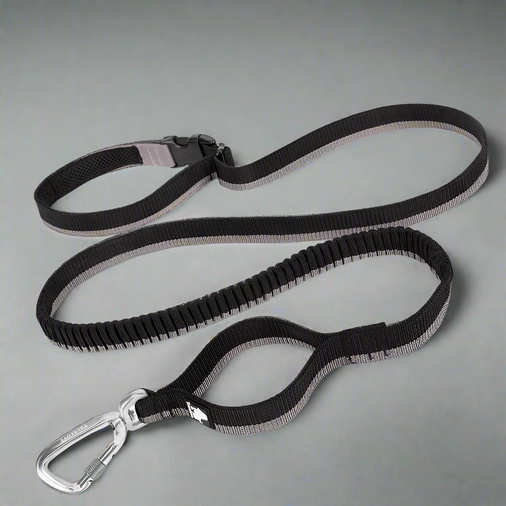 Hands-Free Bungee Dog Leash – Shock-Absorbing & Secure! - Pet house