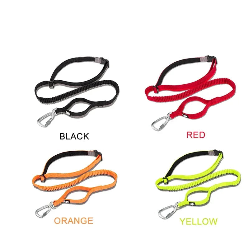 Hands-Free Bungee Dog Leash – Shock-Absorbing & Secure! - Pet house