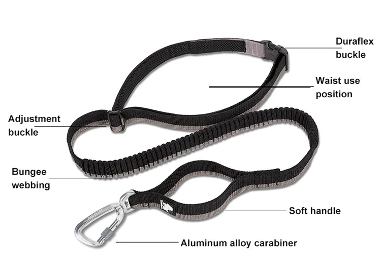 Hands-Free Bungee Dog Leash – Shock-Absorbing & Secure! - Pet house