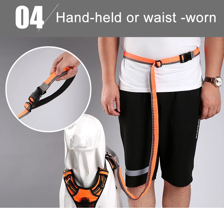 Hands-Free Bungee Dog Leash – Shock-Absorbing & Secure! - Pet house