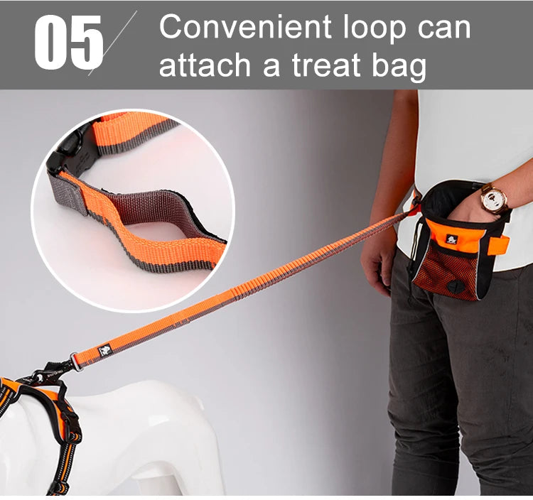 Hands-Free Bungee Dog Leash – Shock-Absorbing & Secure! - Pet house