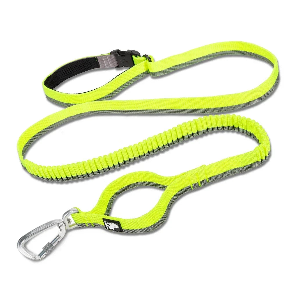 Hands-Free Bungee Dog Leash – Shock-Absorbing & Secure! - Pet house
