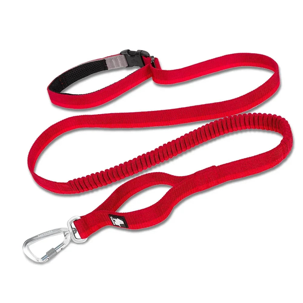Hands-Free Bungee Dog Leash – Shock-Absorbing & Secure! - Pet house