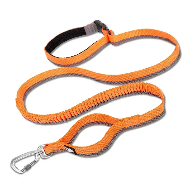 Hands-Free Bungee Dog Leash – Shock-Absorbing & Secure! - Pet house