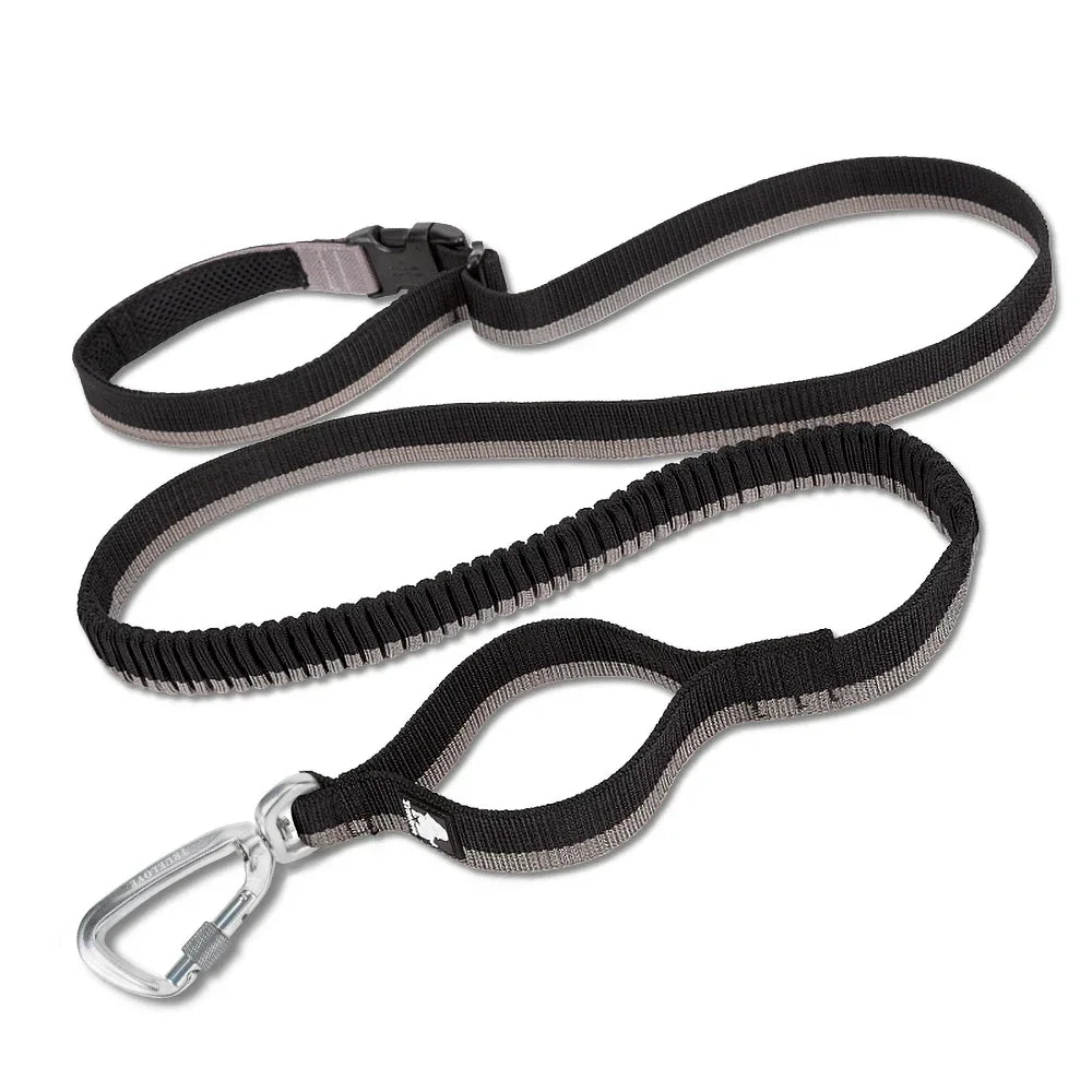 Hands-Free Bungee Dog Leash – Shock-Absorbing & Secure! - Pet house