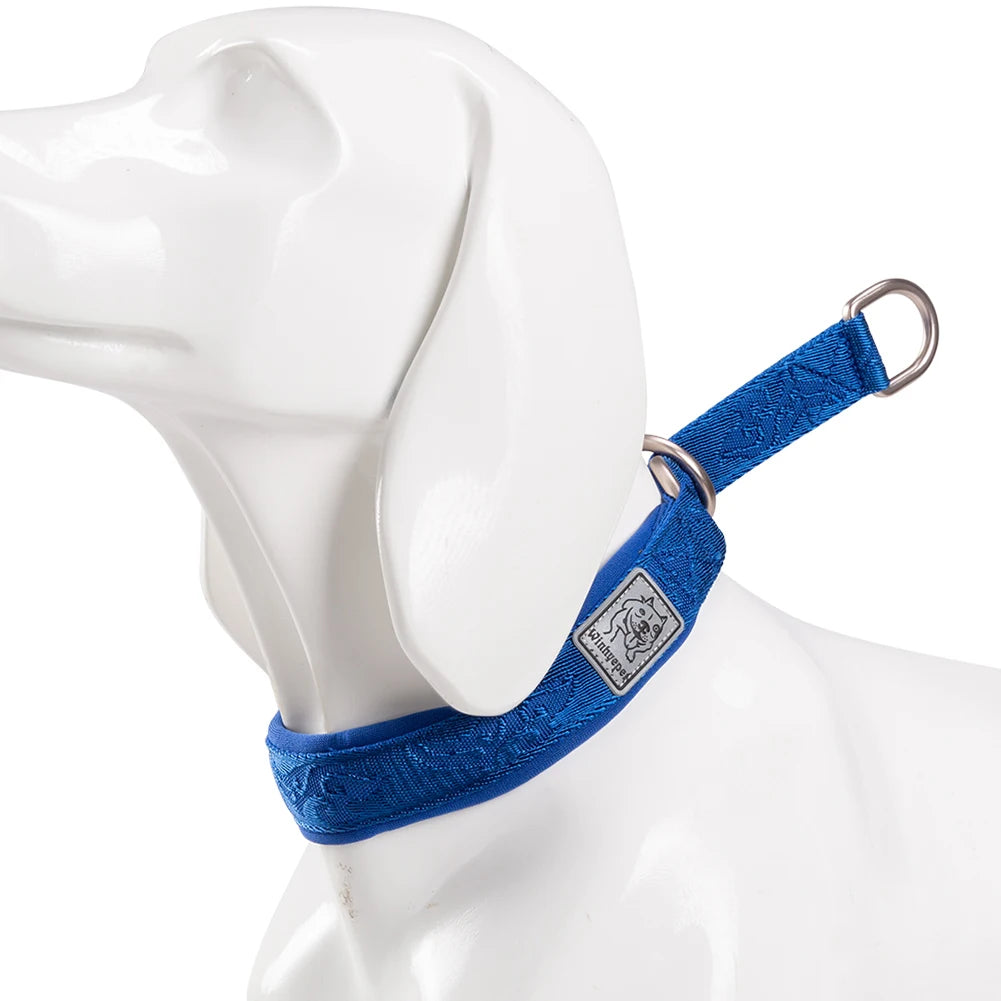 Heavy-Duty No-Pull Dog Collar – Padded, Adjustable & Secure! - Pet house