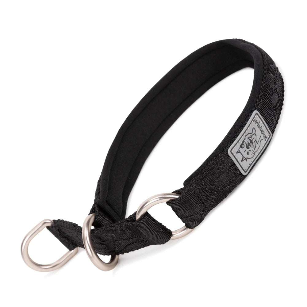 Heavy-Duty No-Pull Dog Collar – Padded, Adjustable & Secure! - Pet house