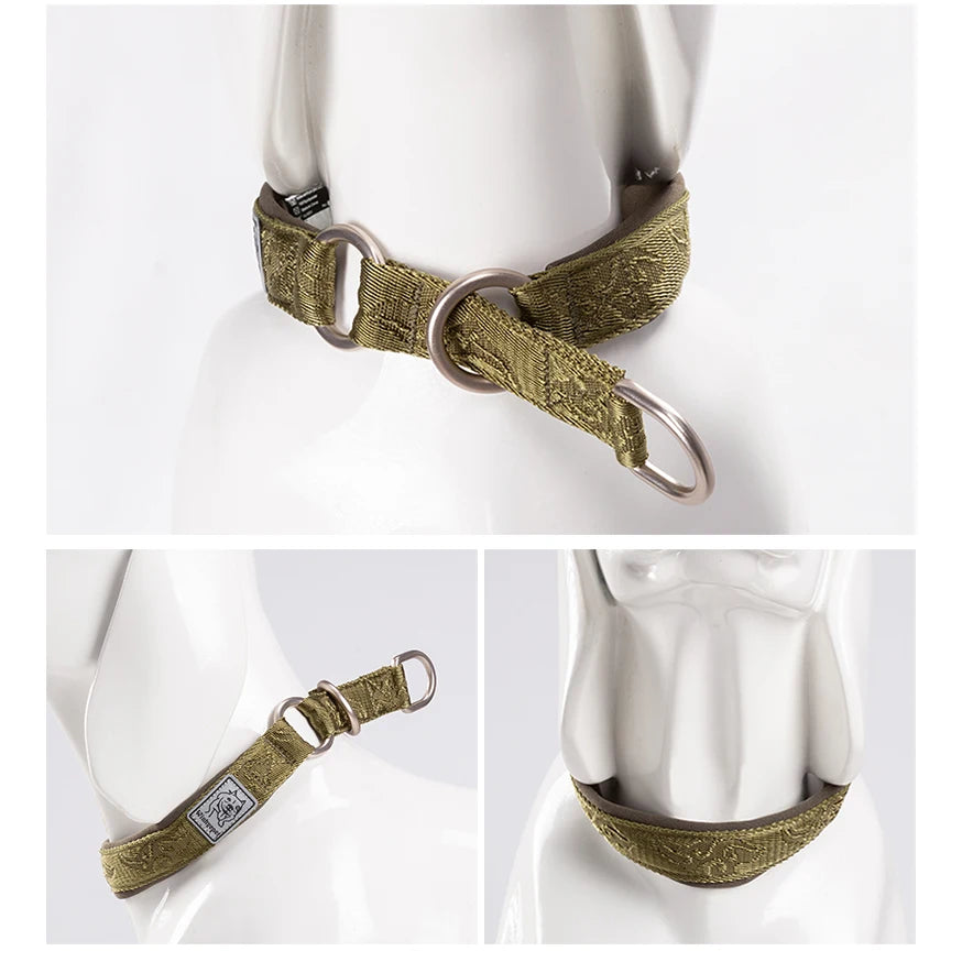Heavy-Duty No-Pull Dog Collar – Padded, Adjustable & Secure! - Pet house
