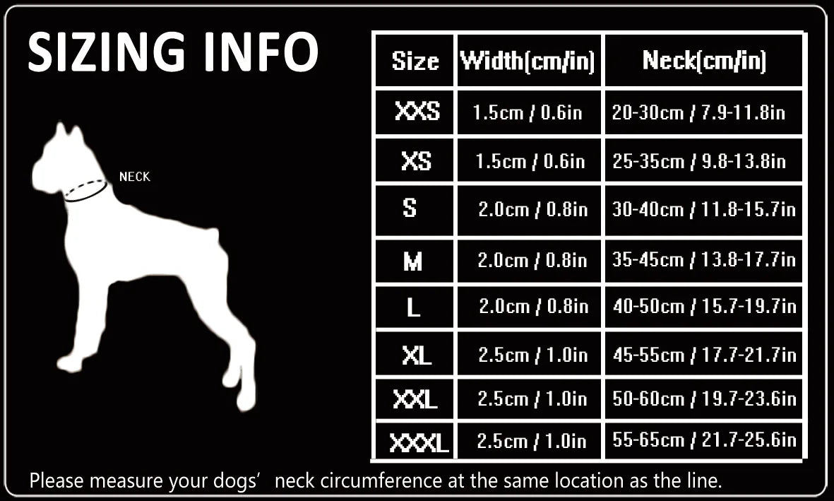 Heavy-Duty No-Pull Dog Collar – Padded, Adjustable & Secure! - Pet house