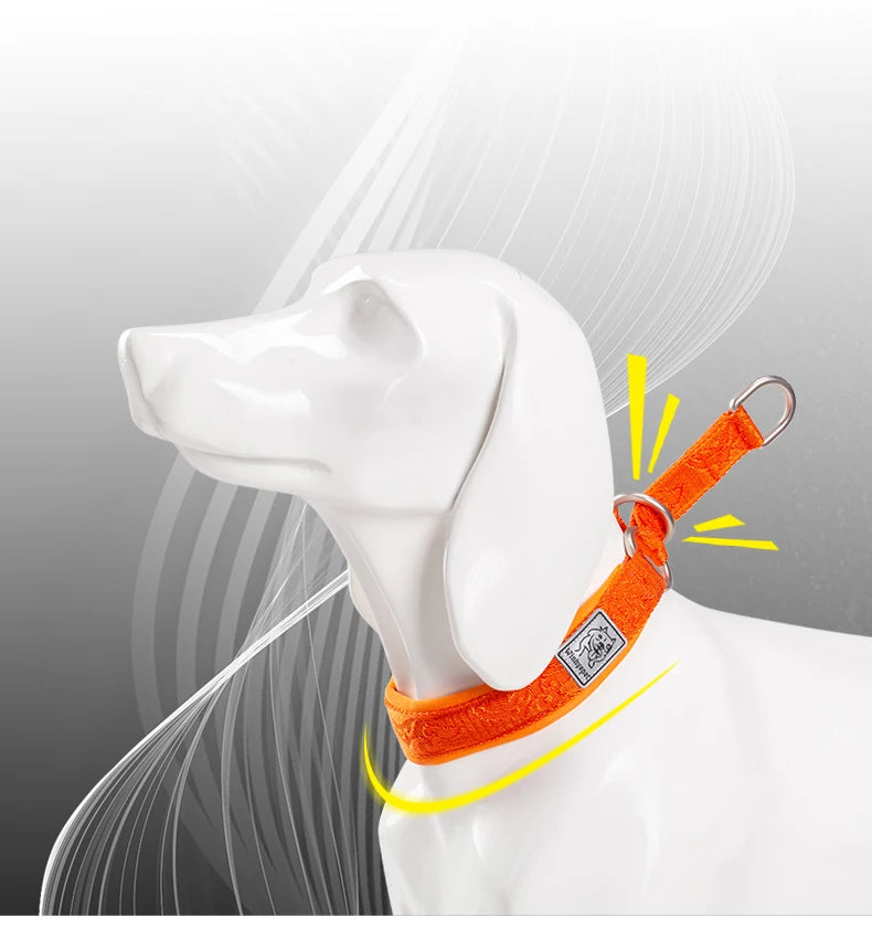 Heavy-Duty No-Pull Dog Collar – Padded, Adjustable & Secure! - Pet house