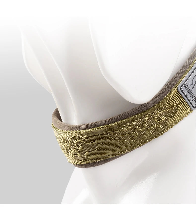 Heavy-Duty No-Pull Dog Collar – Padded, Adjustable & Secure! - Pet house