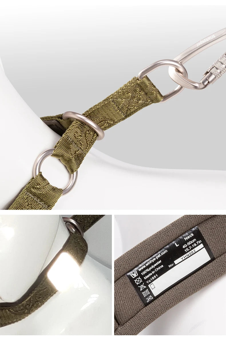 Heavy-Duty No-Pull Dog Collar – Padded, Adjustable & Secure! - Pet house