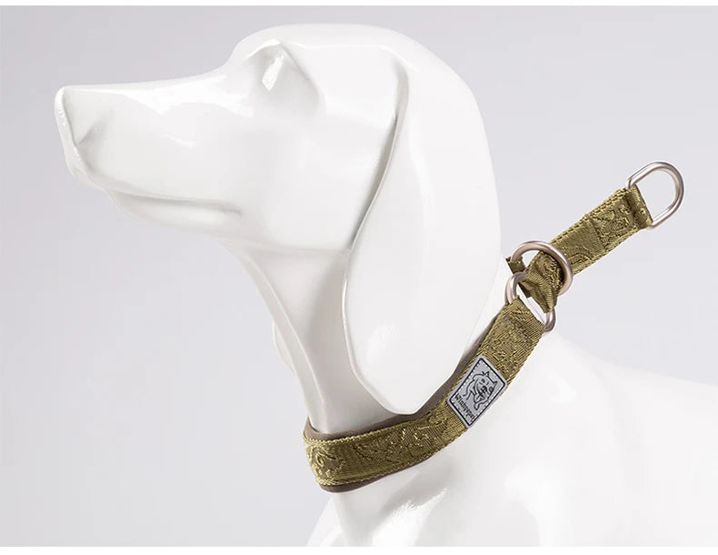 Heavy-Duty No-Pull Dog Collar – Padded, Adjustable & Secure! - Pet house