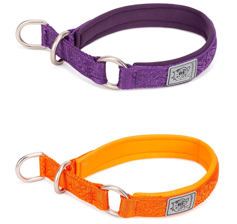 Heavy-Duty No-Pull Dog Collar – Padded, Adjustable & Secure! - Pet house