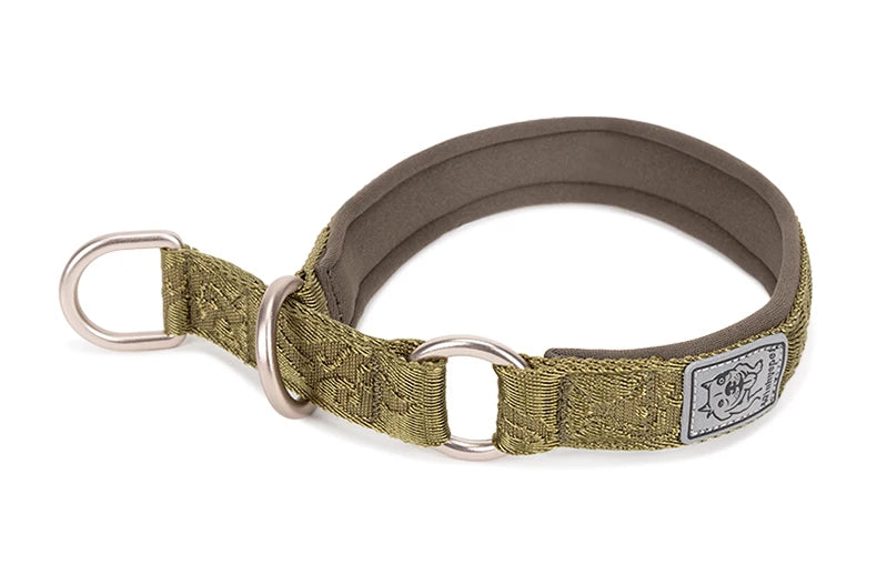 Heavy-Duty No-Pull Dog Collar – Padded, Adjustable & Secure! - Pet house