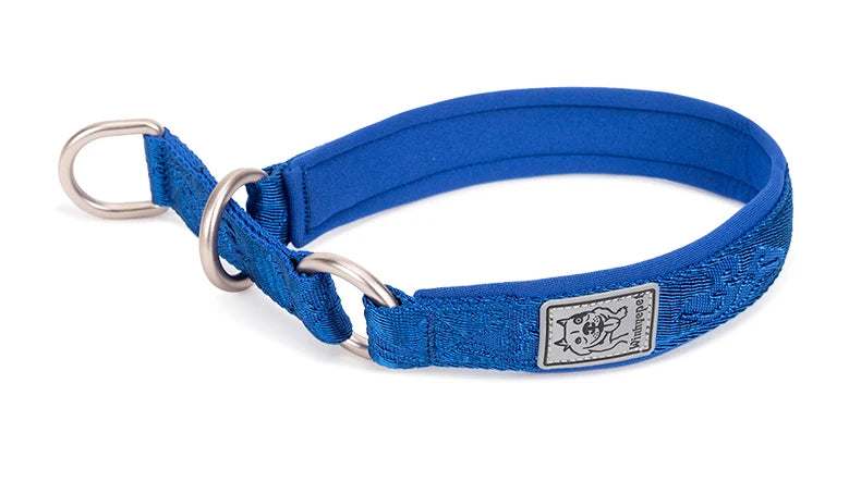 Heavy-Duty No-Pull Dog Collar – Padded, Adjustable & Secure! - Pet house