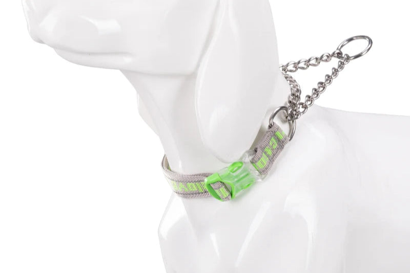 Heavy-Duty P-Chain Dog Collar – Adjustable, Reflective & Secure! - Pet house