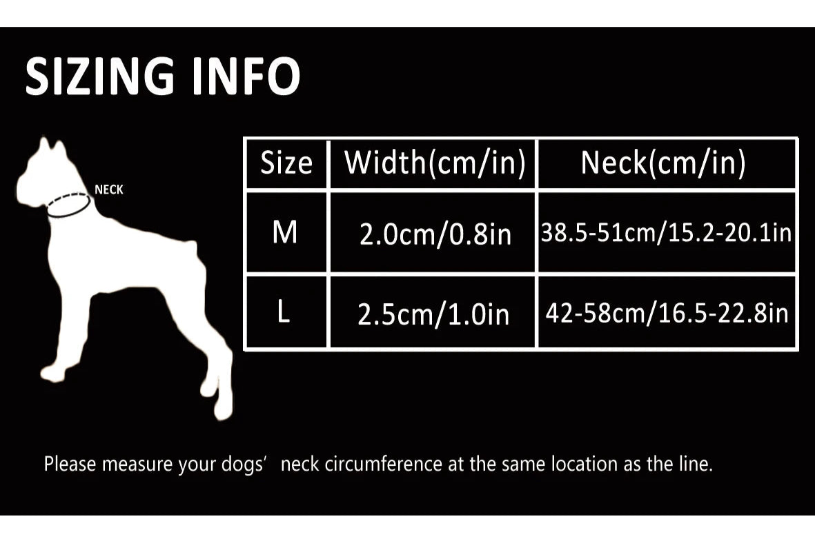 Heavy-Duty P-Chain Dog Collar – Adjustable, Reflective & Secure! - Pet house