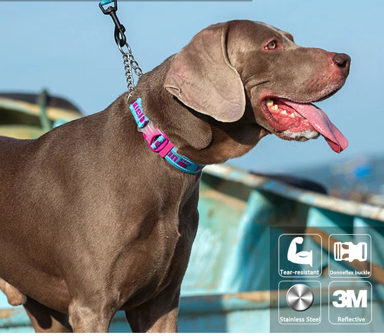 Heavy-Duty P-Chain Dog Collar – Adjustable, Reflective & Secure! - Pet house