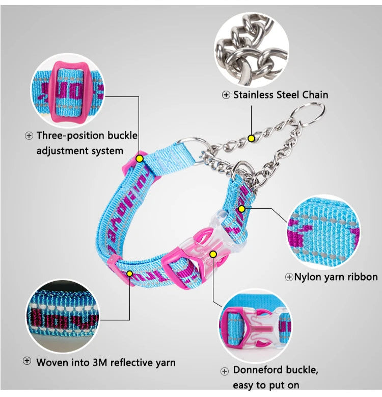 Heavy-Duty P-Chain Dog Collar – Adjustable, Reflective & Secure! - Pet house