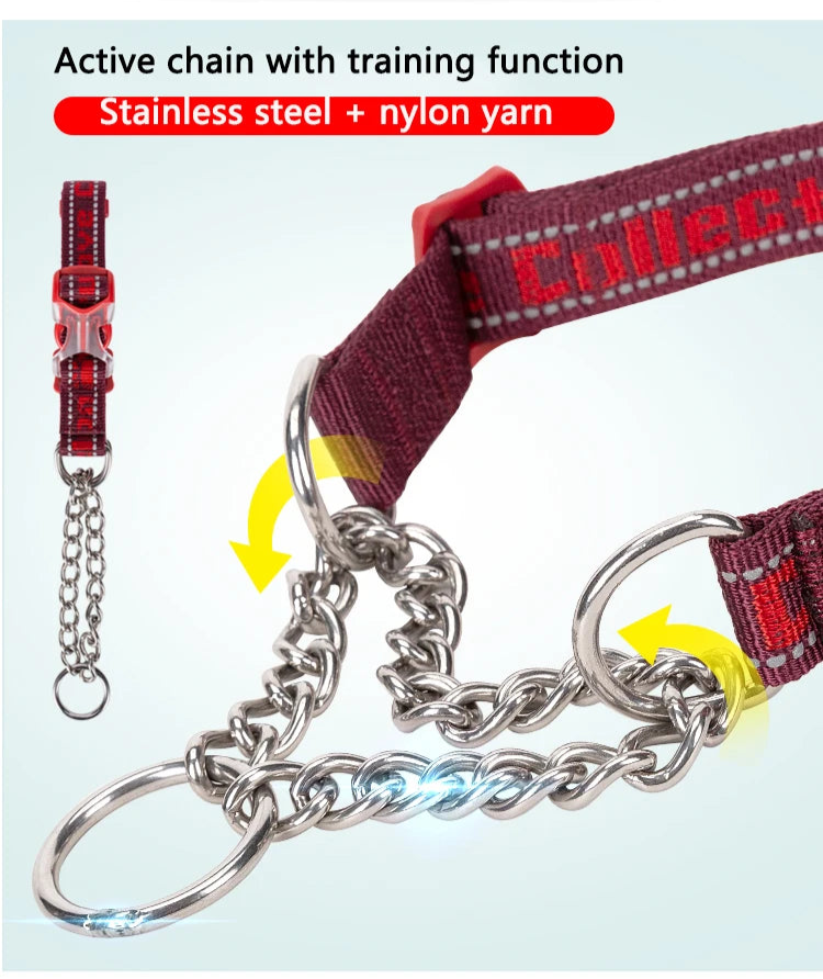 Heavy-Duty P-Chain Dog Collar – Adjustable, Reflective & Secure! - Pet house