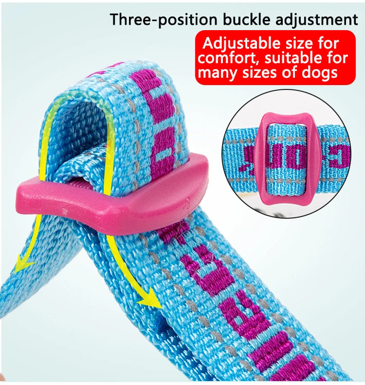 Heavy-Duty P-Chain Dog Collar – Adjustable, Reflective & Secure! - Pet house