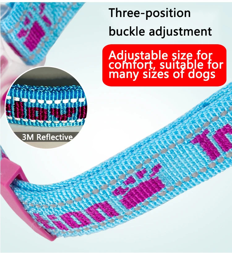 Heavy-Duty P-Chain Dog Collar – Adjustable, Reflective & Secure! - Pet house