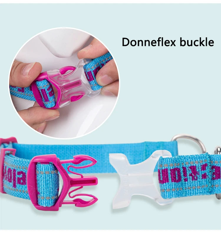 Heavy-Duty P-Chain Dog Collar – Adjustable, Reflective & Secure! - Pet house