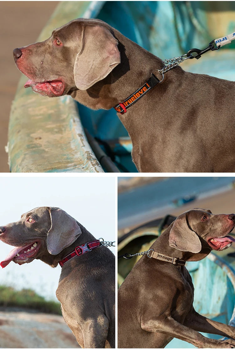 Heavy-Duty P-Chain Dog Collar – Adjustable, Reflective & Secure! - Pet house