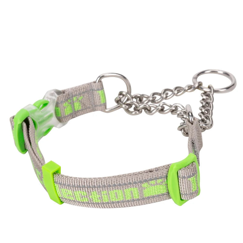 Heavy-Duty P-Chain Dog Collar – Adjustable, Reflective & Secure! - Pet house