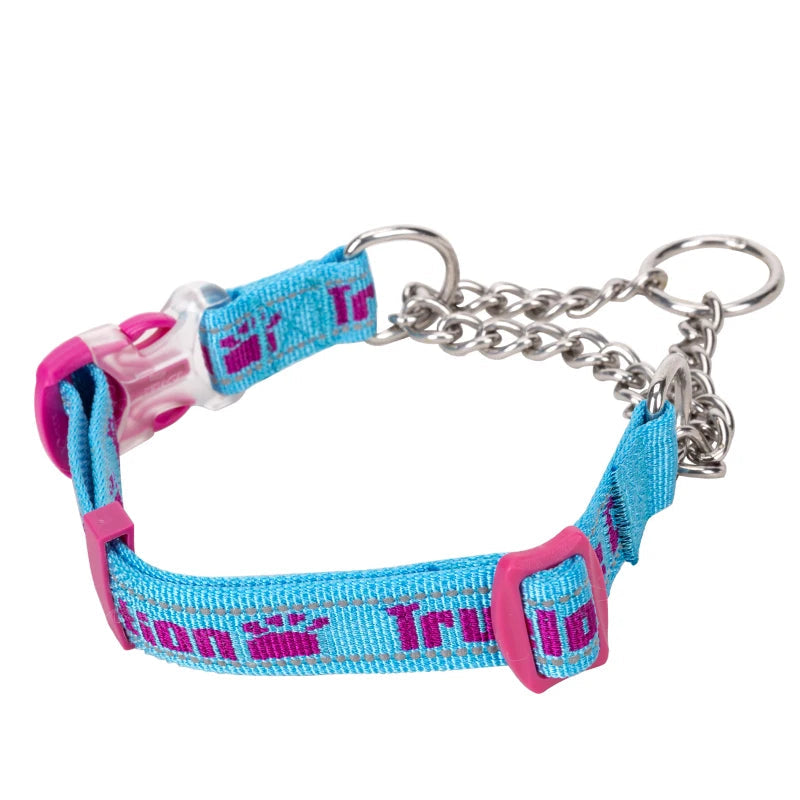 Heavy-Duty P-Chain Dog Collar – Adjustable, Reflective & Secure! - Pet house
