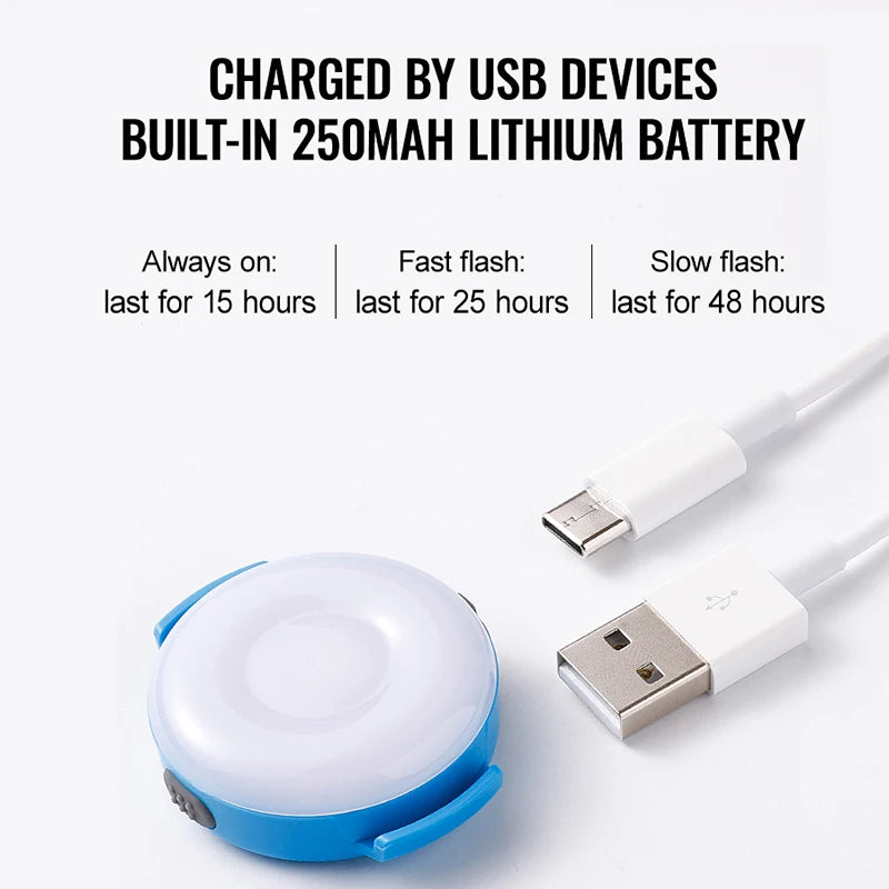 LED Light for Dogs – USB Rechargeable, Waterproof & Night-Safe! - Pet house